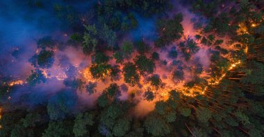 An aerial view shows a forest fire in Krasnoyarsk Region, Russia July 17, 2020. Picture taken July 17, 2020. (Julia Petrenko/Greenpeace via Reuters)