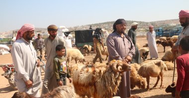 As a sheep waits to be sold for the upcoming festival of sacrifice, or Eid al-Adha, civilians living near Syria's northwestern Idlib face worsening conditions in camps and most are unable to buy an animal to sacrifice, Atmeh camp near Idlib province, Syria, July 27, 2020. (AA Photo)