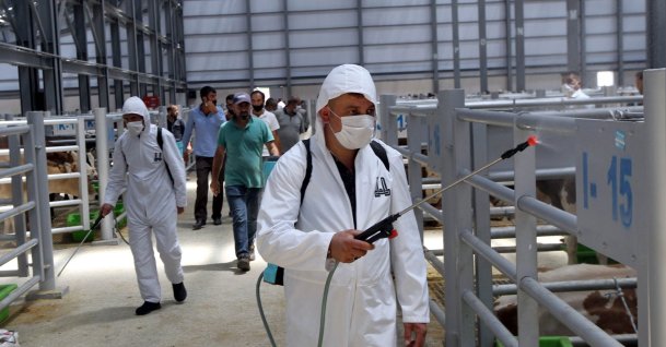 Municipality workers carry out disinfection work to prevent the spread of COVID-19 at a livestock market in Erzurum, Turkey, July 27, 2020. (AA Photo)