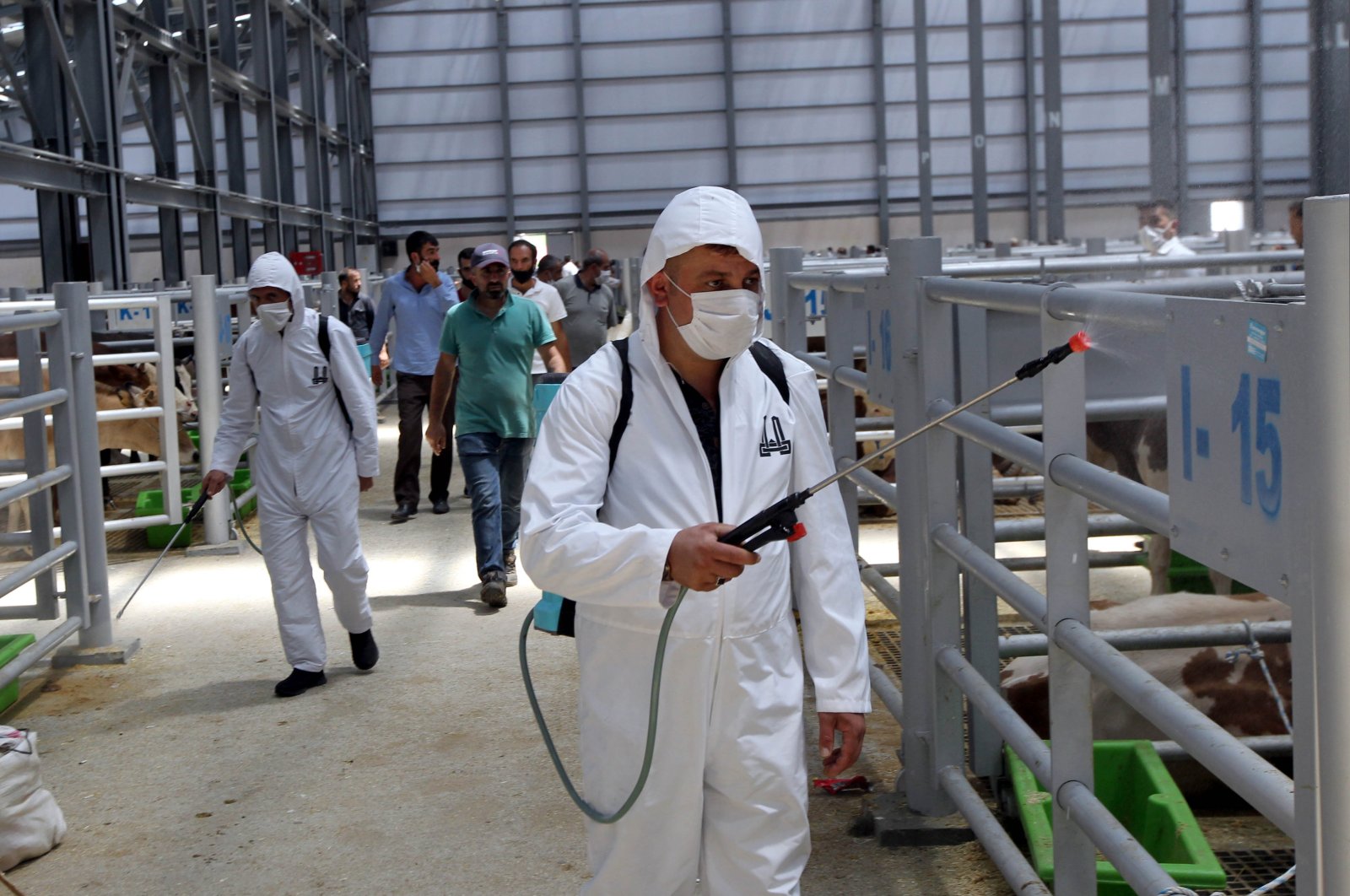 Municipality workers carry out disinfection work to prevent the spread of COVID-19 at a livestock market in Erzurum, Turkey, July 27, 2020. (AA Photo)