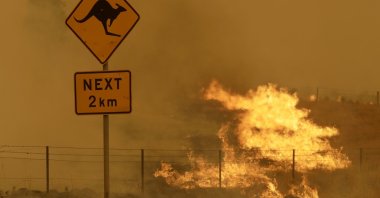 Fire burns in the grass near Bumbalong, south of the Australian capital, Canberra, Feb. 1, 2020. (AP Photo)