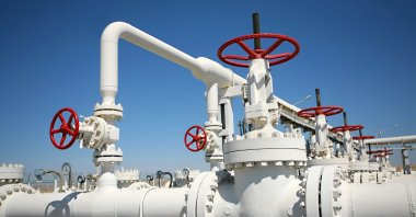 Shutterstock File Photo