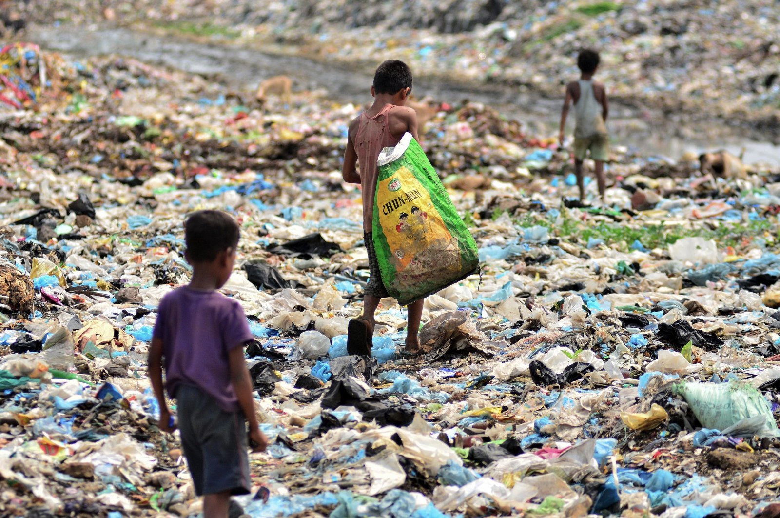 Indian children search for recyclable items as they walk through a garbage dump in Dimapur, in the northeastern state of Nagaland, India, June 5, 2017. (AFP Photo)