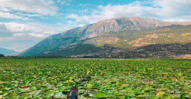 Covered in water lilies, Lake Işıklı is the perfect summer getaway for a calm weekend in nature. (AA Photo)