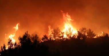 Flames rise in the forest in the Menderes district, in Izmir, western Turkey, Aug. 2, 2020. (AA Photo)