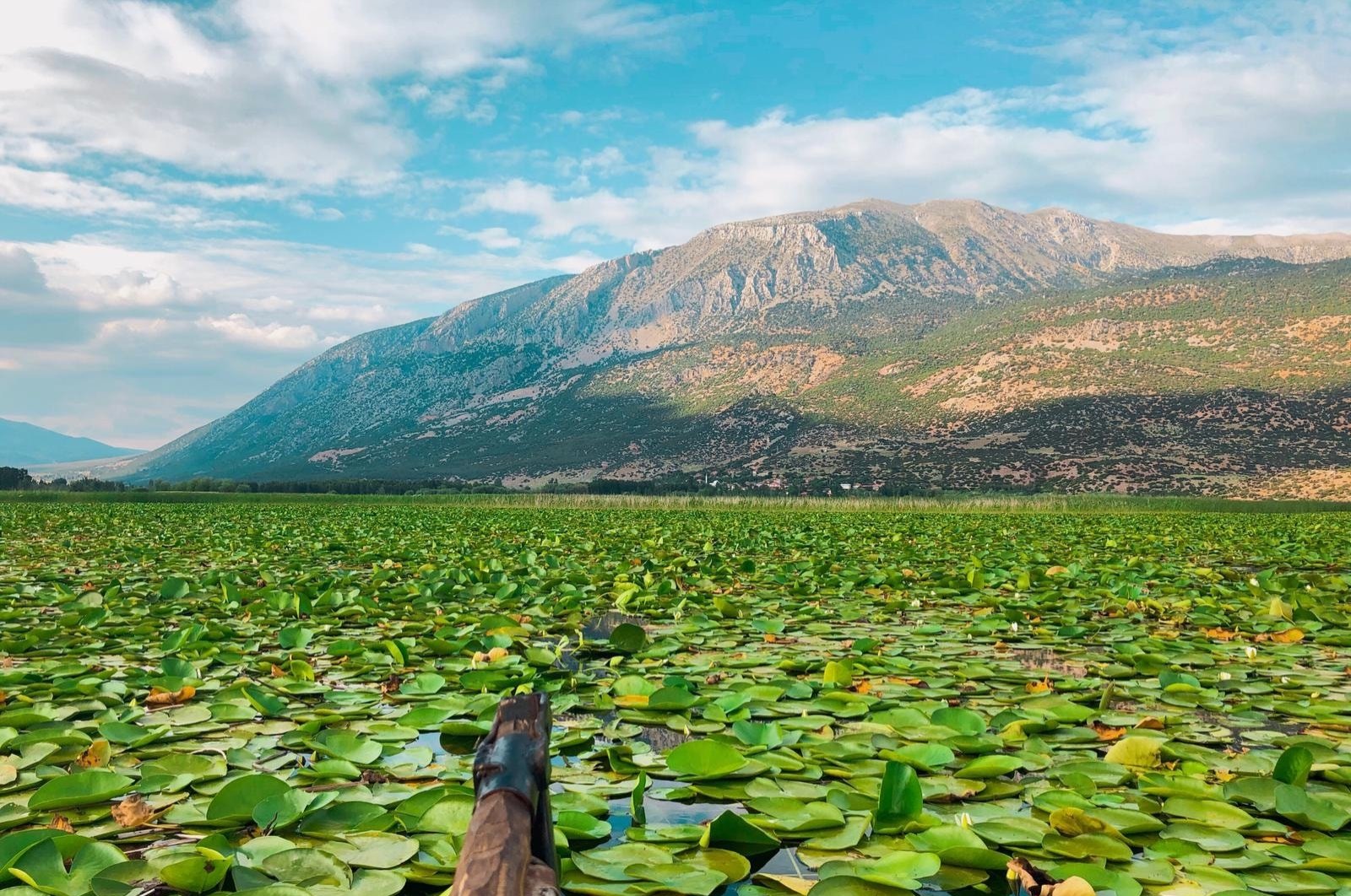 Covered in water lilies, Lake Işıklı is the perfect summer getaway for a calm weekend in nature. (AA Photo)
