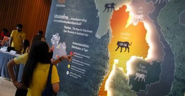 People look at a map of Indo-China tigers' distribution at the exhibit "Roar for Thai Tigers" to celebrate International Tiger Day in Bangkok, Thailand, July 29, 2020. (EPA Photo)