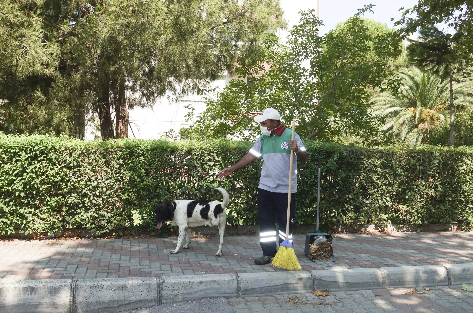 Kola the dog accompanies Mustafa Sağsöz during a regular shift in Izmir, Turkey, Aug. 8, 2020. (AA Photo)