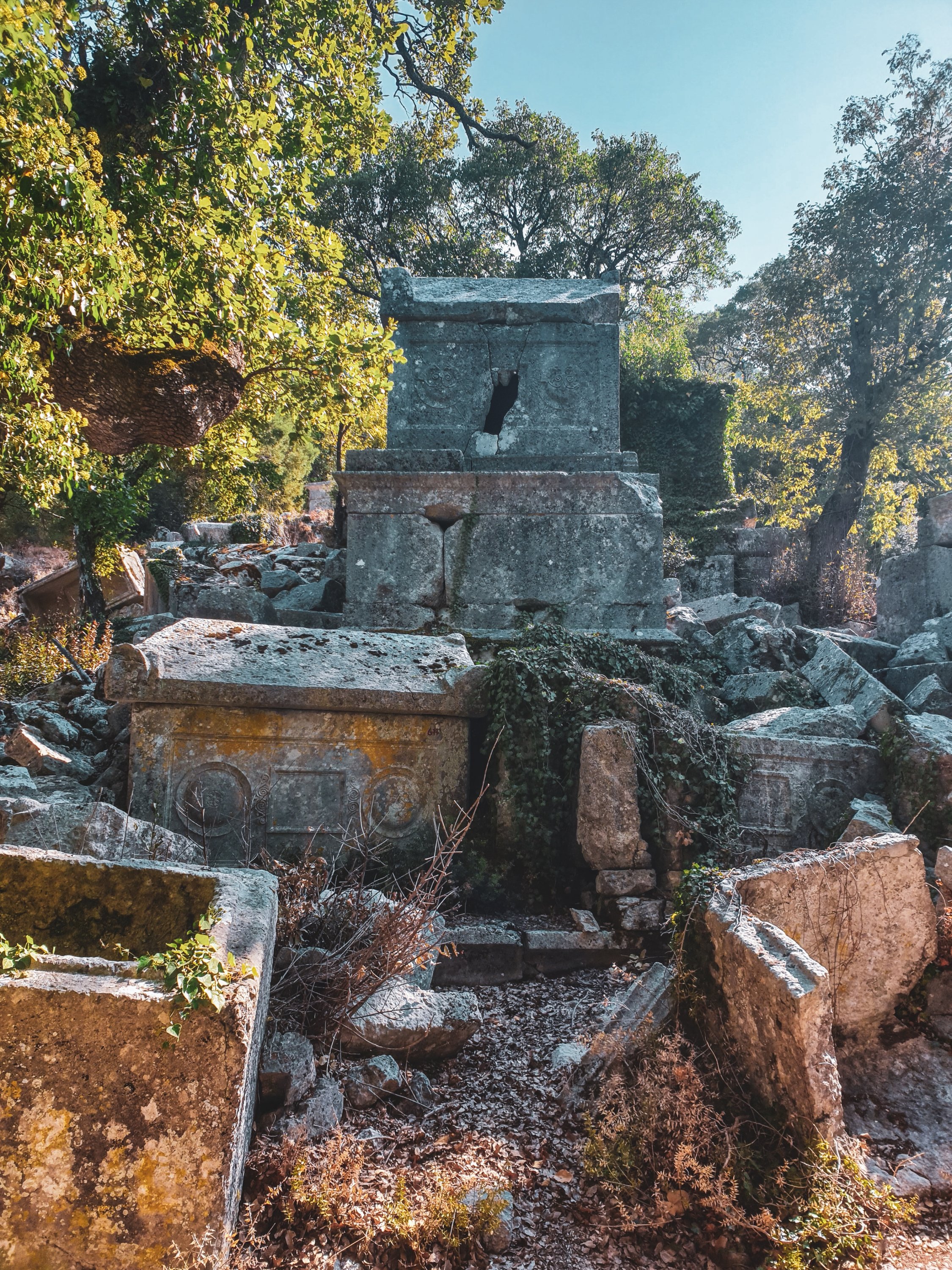 Termessos'taki birçok tarihi mezar ve lahit iyi korunmuş durumda.  (Fotoğraf: Argun Konuk)