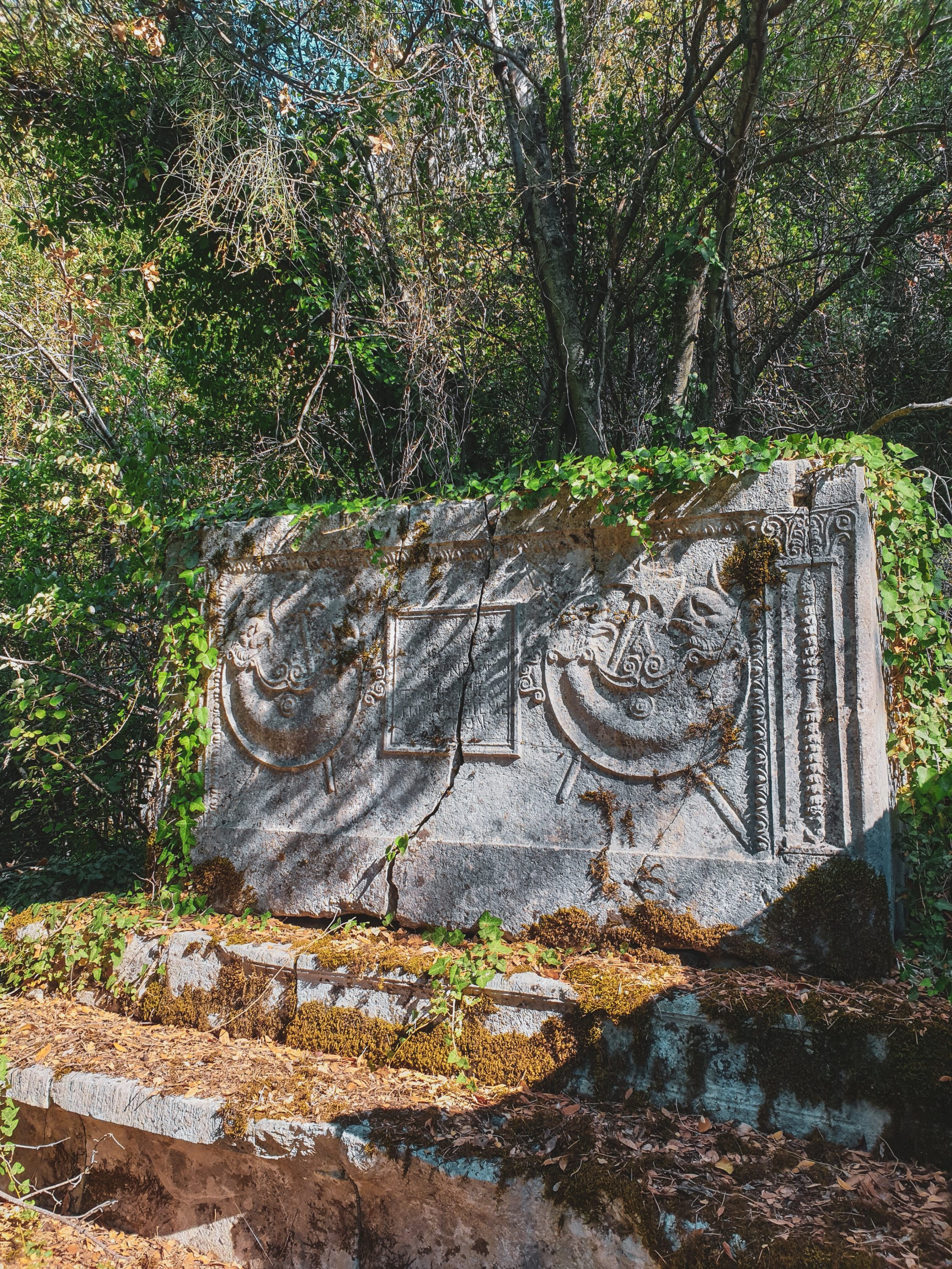 Termessos arazisine dağılmış birçok tarihi mezar bulunmaktadır.  (Fotoğraf: Argun Konuk)