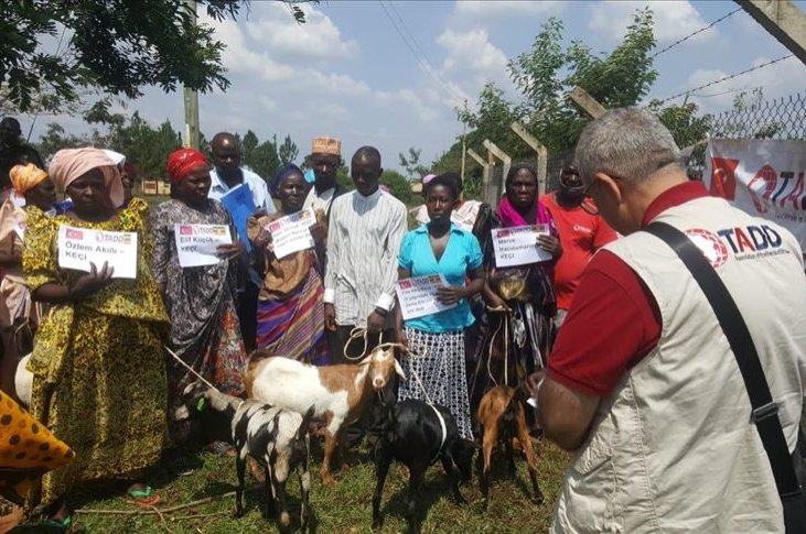 Aid recipients pose with goats donated by the charity, in Kamuli, Uganda, Aug. 13, 2020. (AA Photo) 