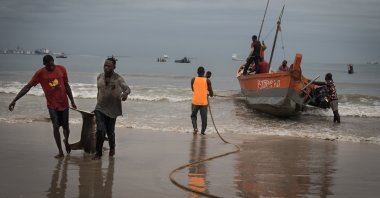 Artisanal fishermen pull a recently caught shark onto the Songolo Beach in Pointe-Noire, the Republic of Congo on Nov. 14, 2019. (Reuters Photo)