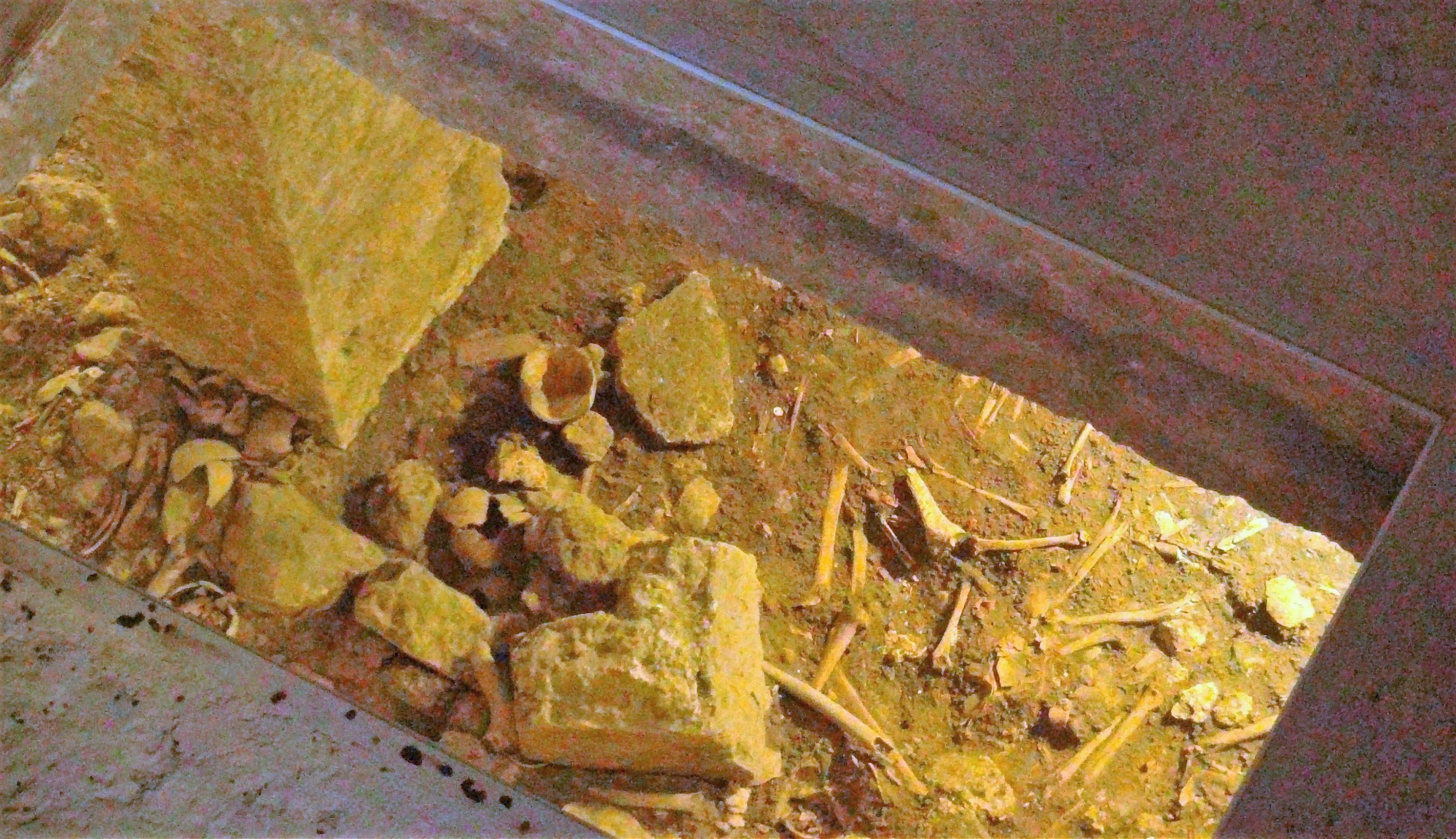 Bones lie beneath a glass platform at the ancient city of Dara, Mardin, southern Turkey, Aug. 20, 2020. (DHA PHOTO)