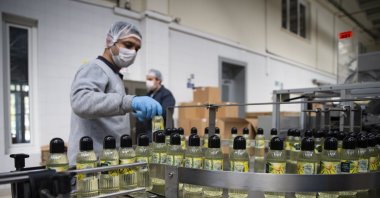 Workers bottle cologne at a cologne factory in Ankara, March 12, 2020. (AA Photo)