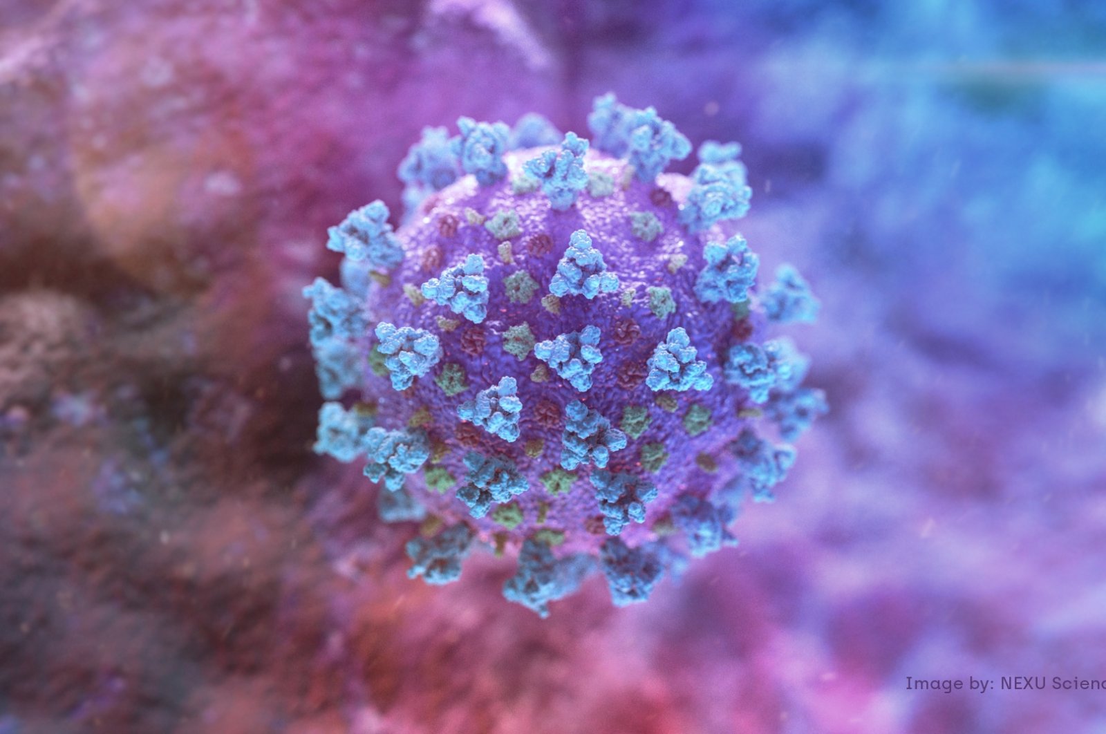 A computer image created by Nexu Science Communication together with Trinity College in Dublin shows a model structurally representative of a betacoronavirus, Feb. 18, 2020. (NEXU Science Communication/via REUTERS)