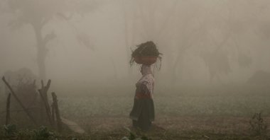 A woman carries a basket on her head through a field of vegetables on a foggy morning in the province of Srinagar, Kashmir, Nov. 20, 2019. (Reuters Photo)