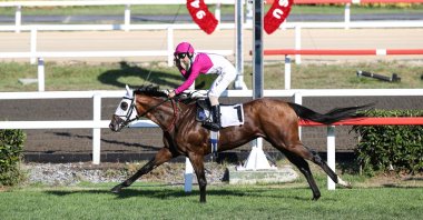 Winning steed Call To Victory and jockey Ahmet Çelik compete in the Gazi Race at Veliefendi Race Course, in Istanbul, Turkey, Aug. 30, 2020. (AA Photo)