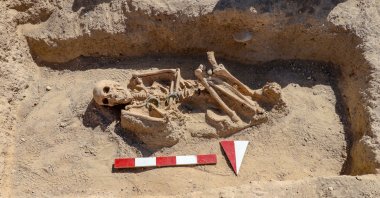 The skeleton of the Urartian woman is seen at the necropolis of the Çavuştepe Castle, Van, eastern Turkey, Sept. 8, 2020. (AA PHOTO)
