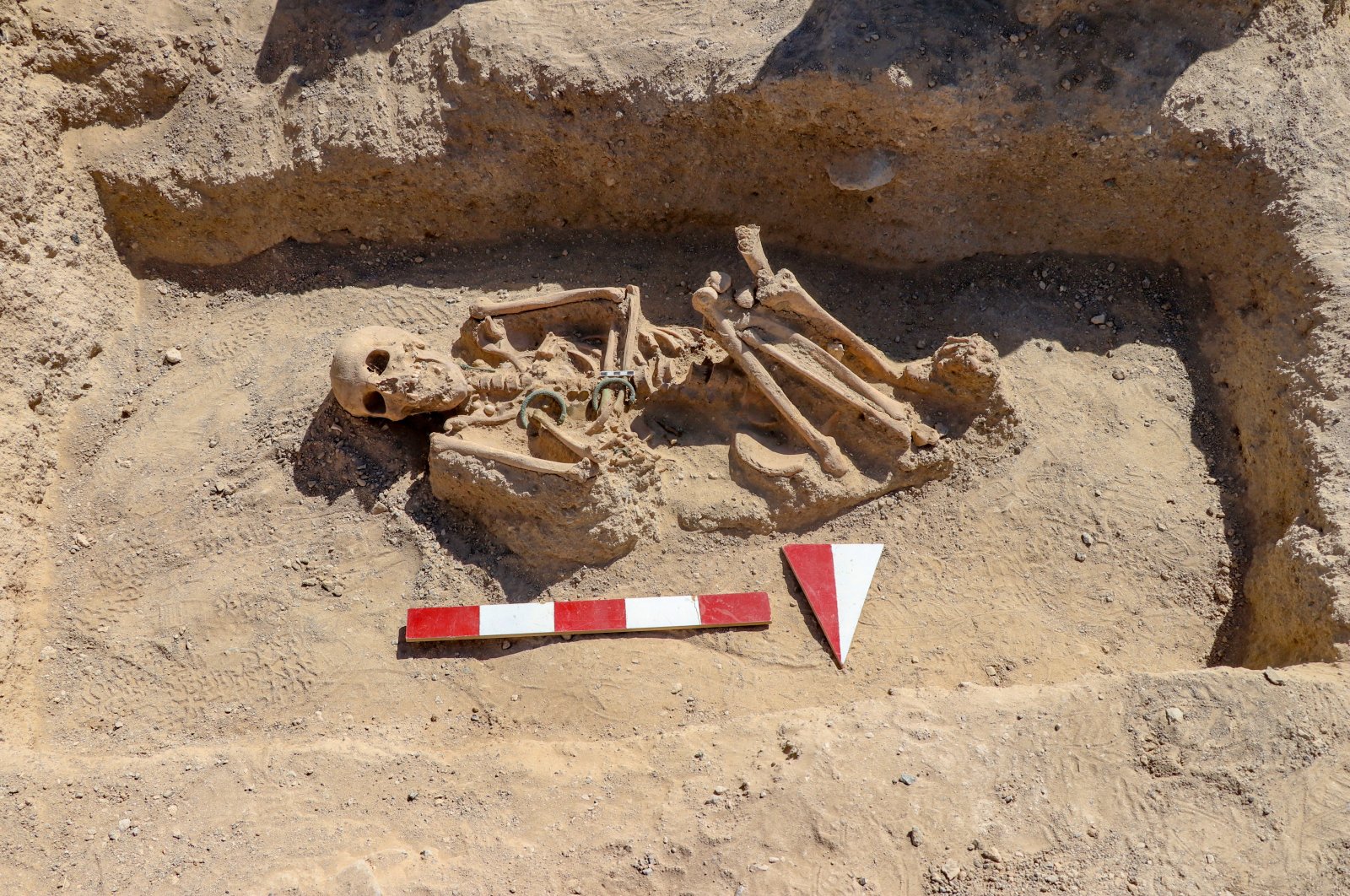 The skeleton of the Urartian woman is seen at the necropolis of the Çavuştepe Castle, Van, eastern Turkey, Sept. 8, 2020. (AA PHOTO)