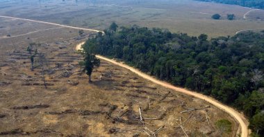 This file picture shows an aerial view of burnt areas of the Amazon rainforest, near Porto Velho, Rondonia State, Brazil, Aug. 24, 2019. (AFP Photo)