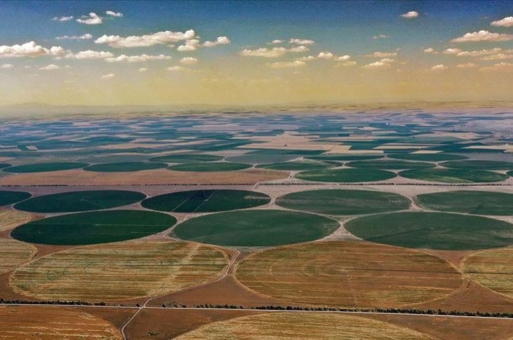 A view of fields in the Kadınhanı district of Konya, central Turkey, July 18, 2020. (AA Photo)