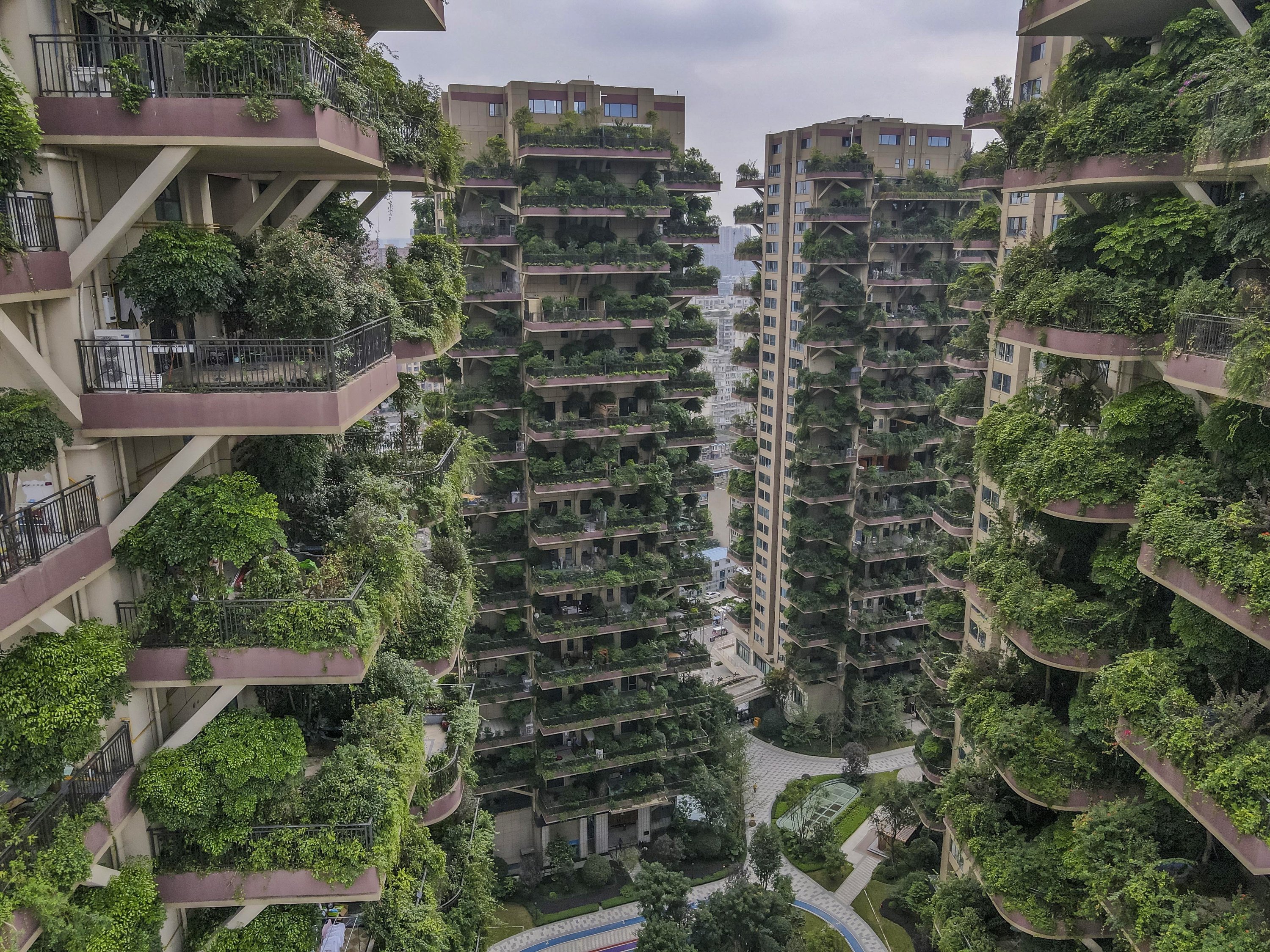 Chinese city welcomes another 'vertical forest' in concrete jungle