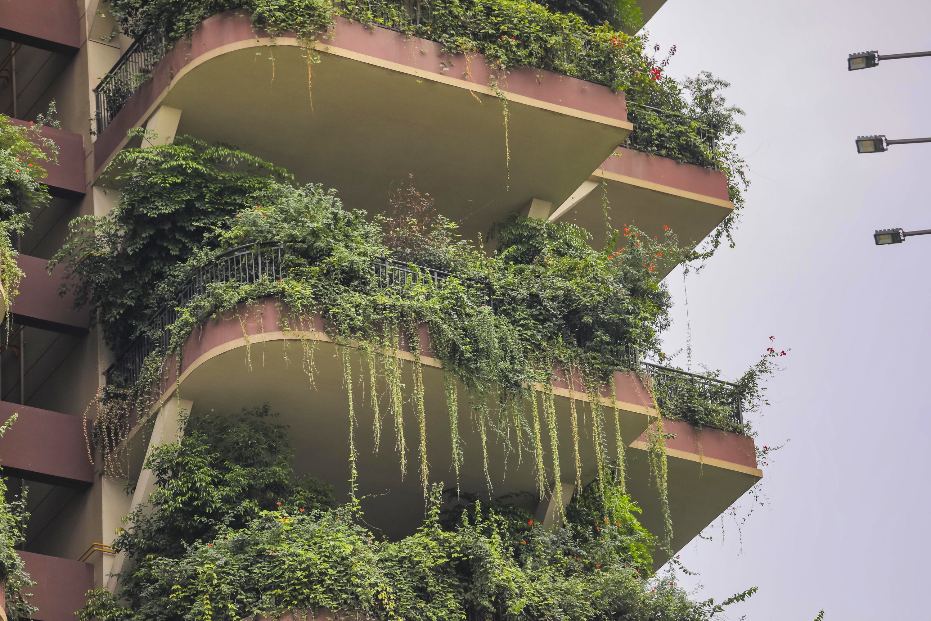 Chinese city welcomes another 'vertical forest' in concrete jungle