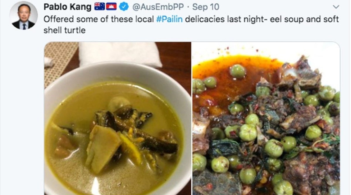 Kang shared the picture of his turtle soup from Twitter on Sept. 10, 2020. (Retrieved from Twitter)