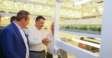 Agriculture and Forestry Minister Bekir Pakdemirli visits the Bademli Arboriculture Cooperative Tissue Culture Laboratory in the Ödemiş district of Izmir province, western Turkey, Sept. 20, 2020 (AA Photo)