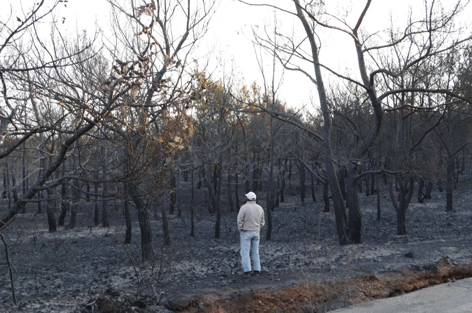 The fire affected an area of 80 hectares in Balıkesir's Ayvalık district. (DHA Photo)