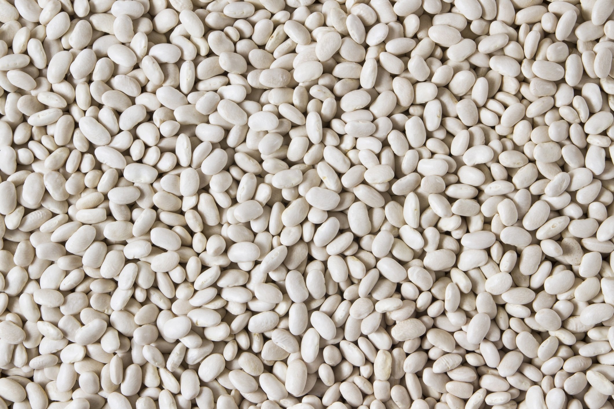 Cannellini beans, also called white kidney beans, often are used in Turkish stews and salads. (iStock Photo)