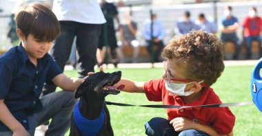 Children pet a dog during a special event to mark World Animal Day, in Istanbul, Turkey, Oct.4, 2020. (IHA Photo)