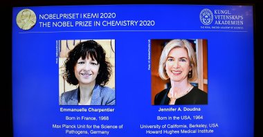 Photos of the winners of the 2020 Nobel Prize in Chemistry are displayed on a screen during a news conference at the Royal Swedish Academy of Sciences, in Stockholm, Sweden, Oct. 7, 2020. (EPA Photo)
