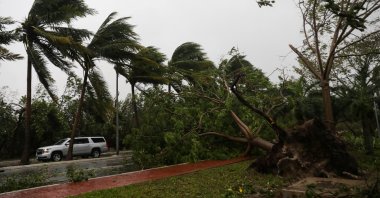 Palm trees wave and fall after Hurricane Delta hit, in the state of Quintana Roo, in Cancun, Mexico, Oct. 7, 2020. (Reuters Photo)