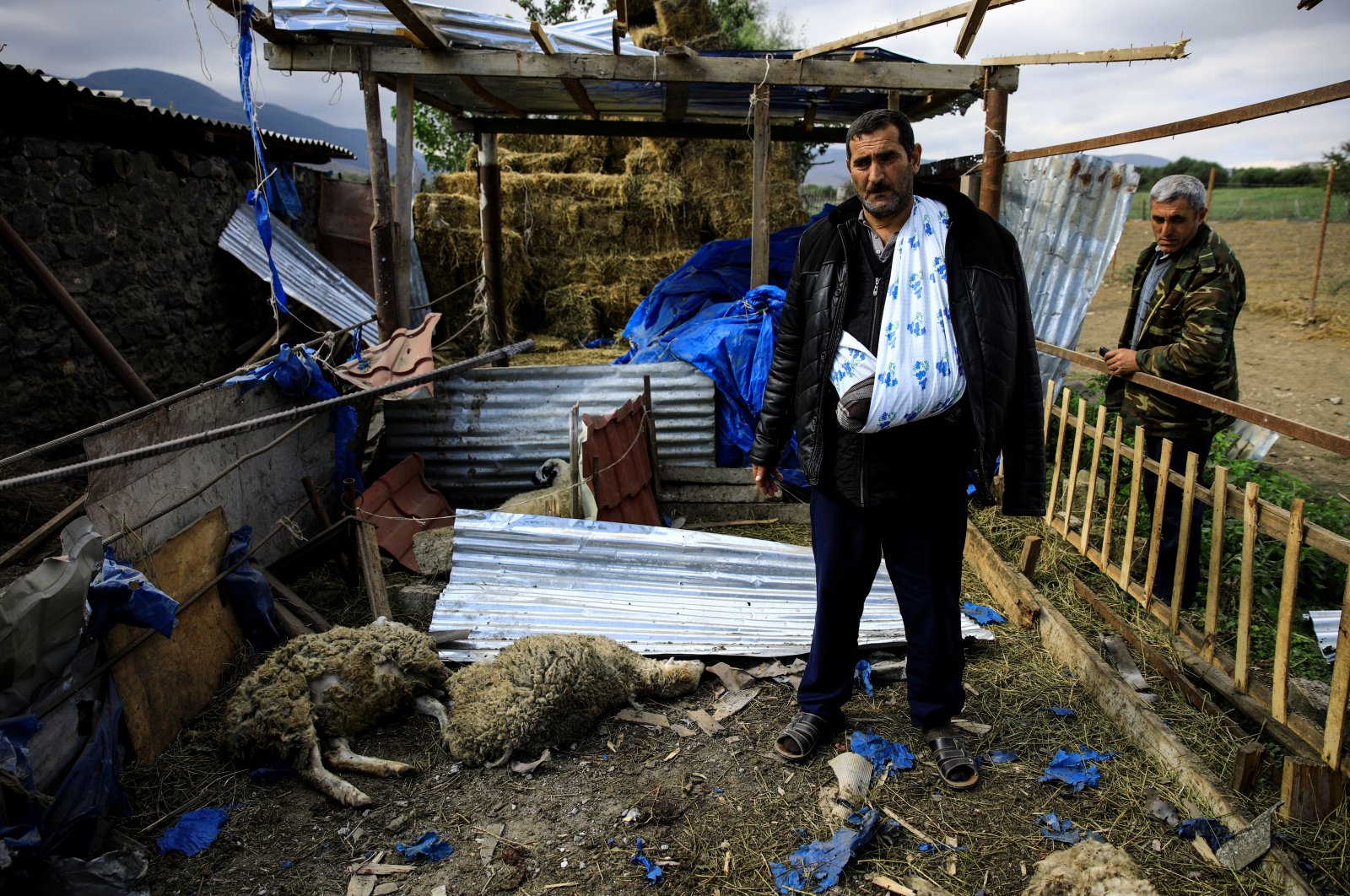 Wounded resident Ilyas Ahmedov stands next to his dead sheep at his farmhouse, which was hit by shelling during the military conflict over the Armenian-occupied region of Nagorno-Karabakh, in Qaraçınar village near the town of Goranboy, Azerbaijan, Oct. 8, 2020. (Reuters Photo)