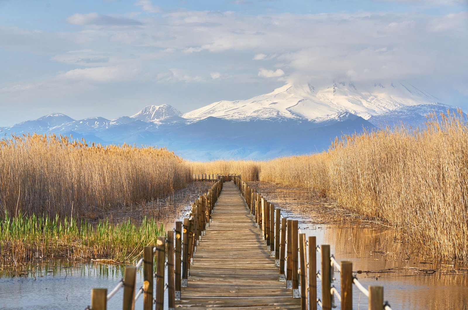 Sultan Marshes National Park, Kayseri province, central Tukrey.