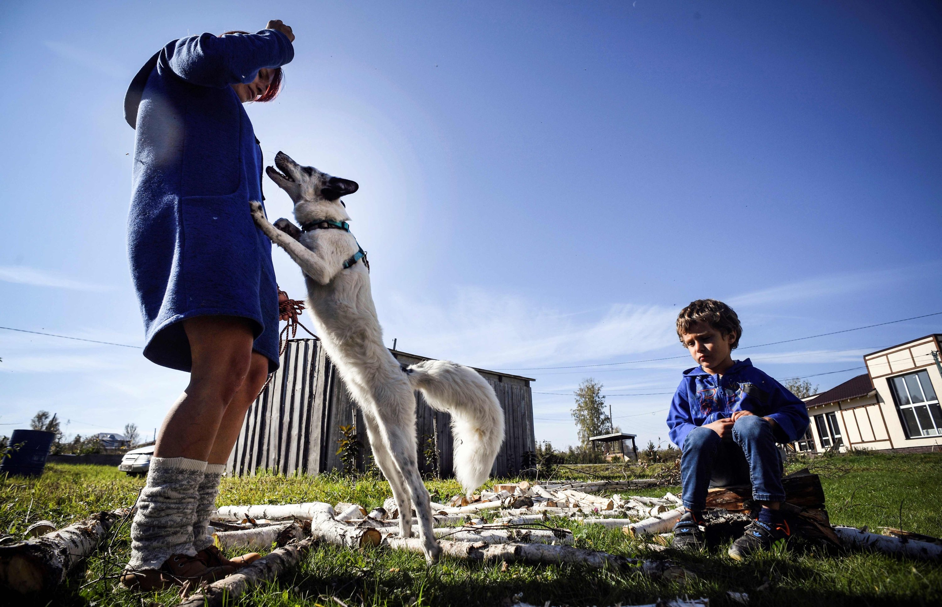 Tatyana Abramova, 33, and her son Timofei, 6, play with their pet fox Plombir at their countryside house outside the Siberian city of Novosibirsk on Sept. 12, 2020. (AFP Photo)