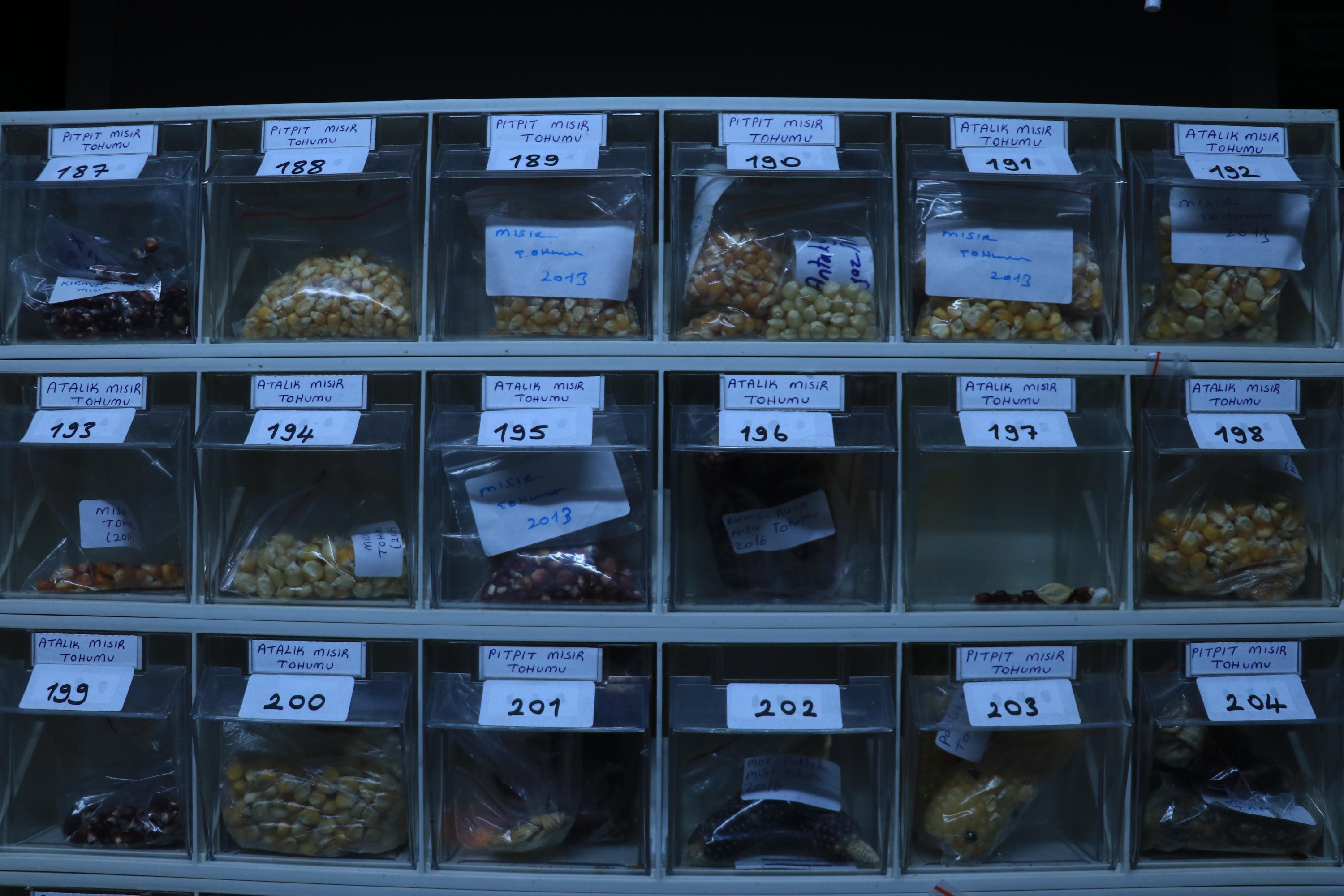 Every seed is coded and divided into its own compartment where it is kept at a stable temperature year-round. (AA Photo)
