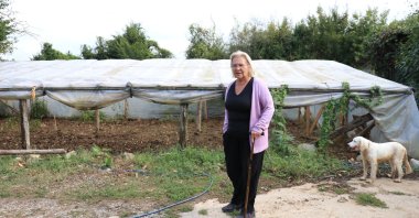 Nardane Kuşçu, 66, has been nicknamed "pomegranate mother" by her friends and locals for her love of seeds and passion for growing plants. (AA Photo)