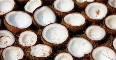 Preliminary results of the study have shown that virgin coconut oil helps destroy the coronavirus. (iStock Photo)