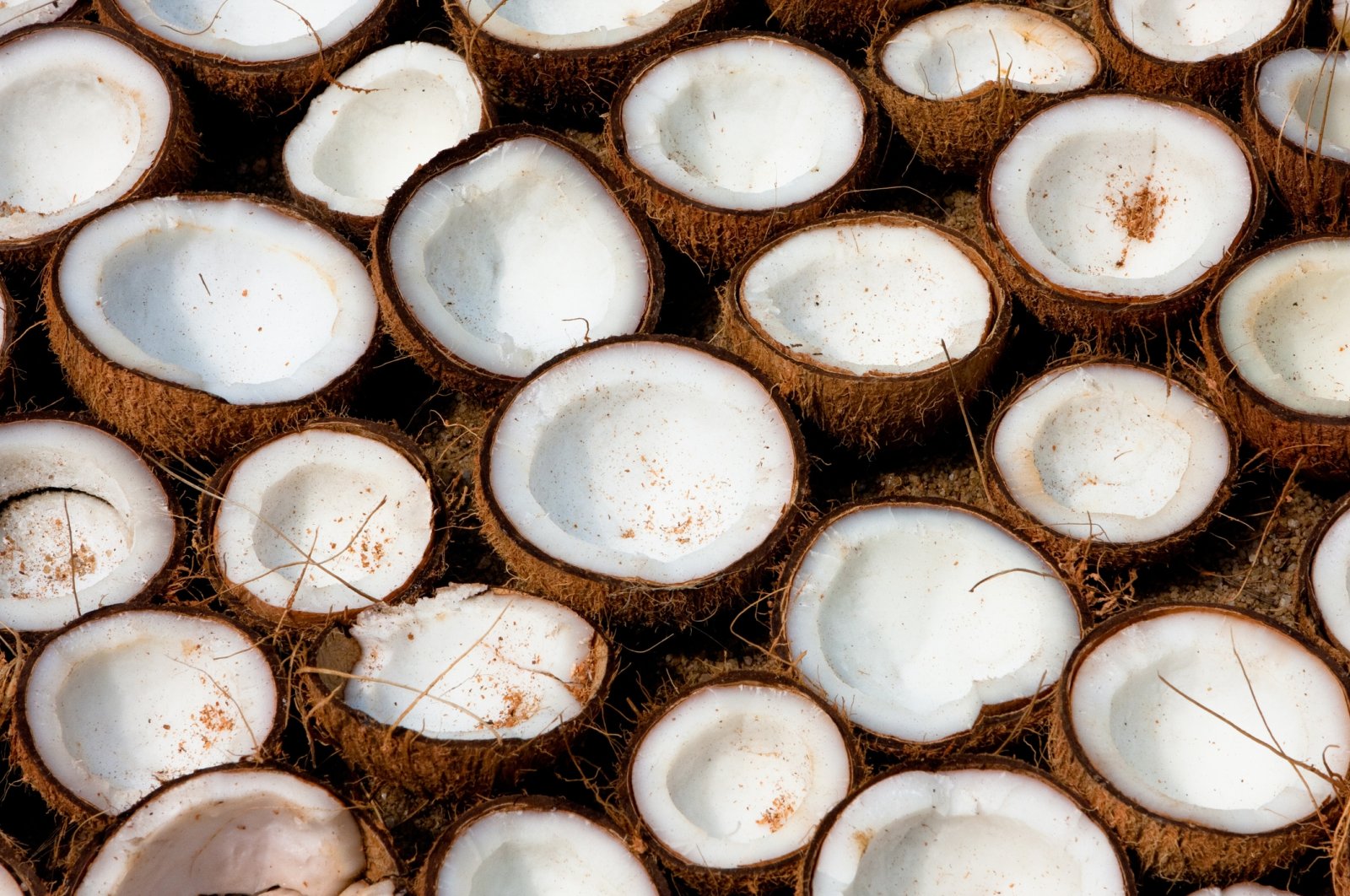 Preliminary results of the study have shown that virgin coconut oil helps destroy the coronavirus. (iStock Photo)