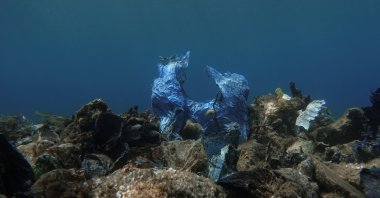 A plastic bag is seen at the bottom of the sea, off the island of Andros, Greece, July 20, 2019. (REUTERS Photo)