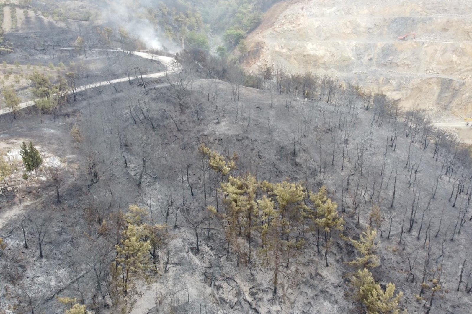 Forest fire in Turkey's Hatay province extinguished after