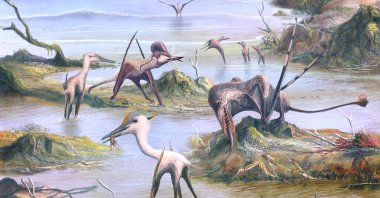 This handout picture released by the University of Birmingham on October 28, 2020, shows an artist's impression of a scene from southern Germany 150 million years ago, depicting the varied diets of pterosaurs, as inferred by dental microwear texture analysis. (Photo by Mark WITTON / UNIVERSITY OF BIRMINGHAM / AFP)