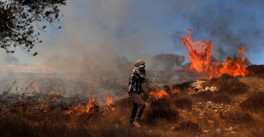 Grass burns in an olive field after Israeli forces fired tear gas canisters during a Palestinian protest against Jewish settlements, near Ramallah in the Israeli-occupied West Bank, Palestine, Oct. 16, 2020. (Reuters Photo)