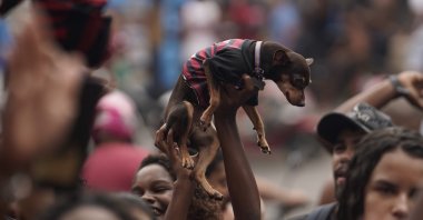 A fan of Brazil's Flamengo soccer team holds up her dog, wearing the colors of her team, after England's Liverpool scored a goal against Flamengo, during a live broadcast of the FIFA Club World Cup final soccer match, at the Rocinha slum in Rio de Janeiro, Brazil, Saturday, Dec. 21, 2019. (AP Photo)