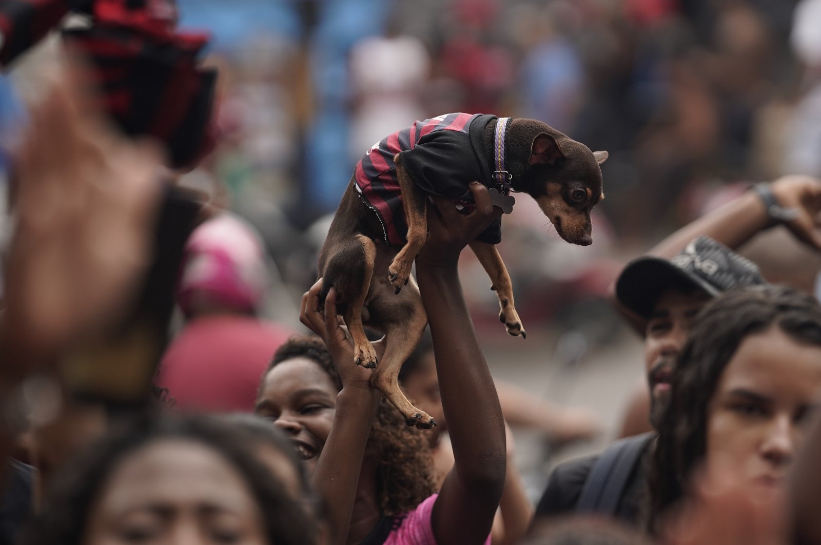 A fan of Brazil's Flamengo soccer team holds up her dog, wearing the colors of her team, after England's Liverpool scored a goal against Flamengo, during a live broadcast of the FIFA Club World Cup final soccer match, at the Rocinha slum in Rio de Janeiro, Brazil, Saturday, Dec. 21, 2019. (AP Photo)