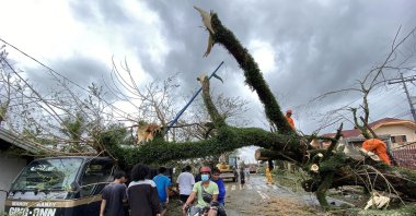 Filipino villagers maneuver under a toppled tree in the typhoon-hit town of Tigaon, Camarines Sur, Philippines, 01 November 2020. Super Typhoon Goni, with winds forecasted to reach 249 kilometers per hour, made landfall in the provinces of Albay and Camarines sur, according to the local weather bureau. (EPA Photo)