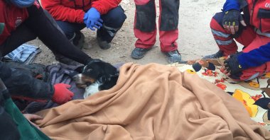 Rescuers surround Ares who lies wrapped in a blanket after being rescued from the rubble, in Izmir, western Turkey, Nov. 2, 2020. (AA Photo) Anadolu Ajansı )