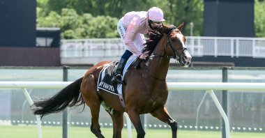 Anthony Van Dyck with jockey Hugh Bowman before the start of the Melbourne Cup, in Melbourne, Australia, Nov. 3, 2020. (AFP Photo)